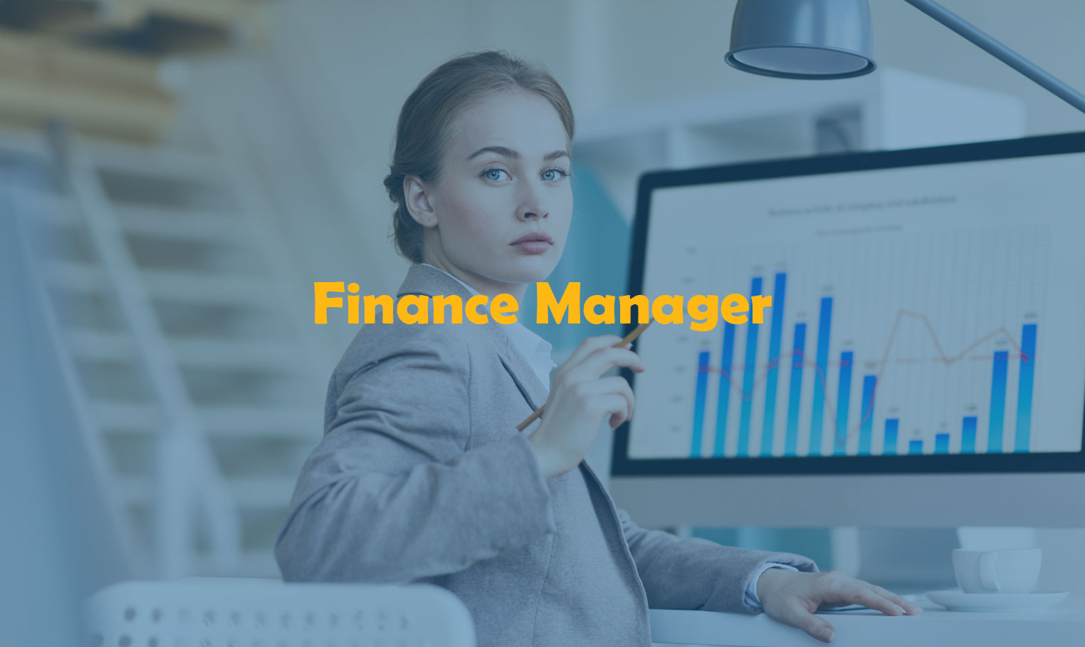 Finance Manager