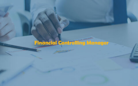 Financial Controlling Manager