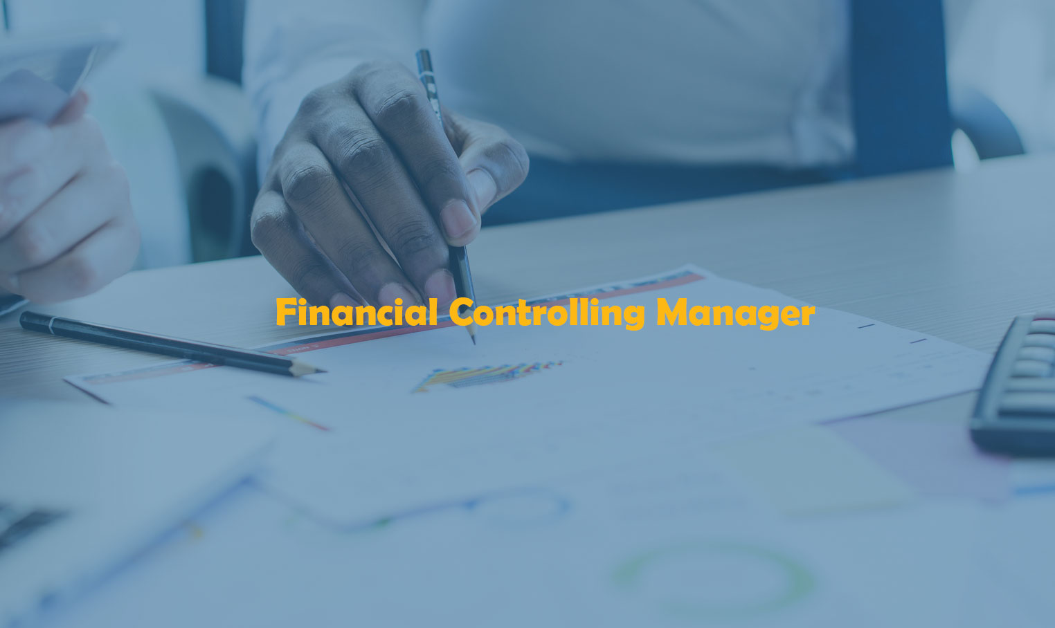 Financial Controlling Manager