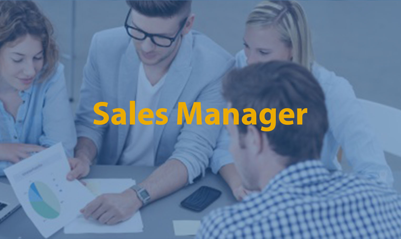 Sales Manager