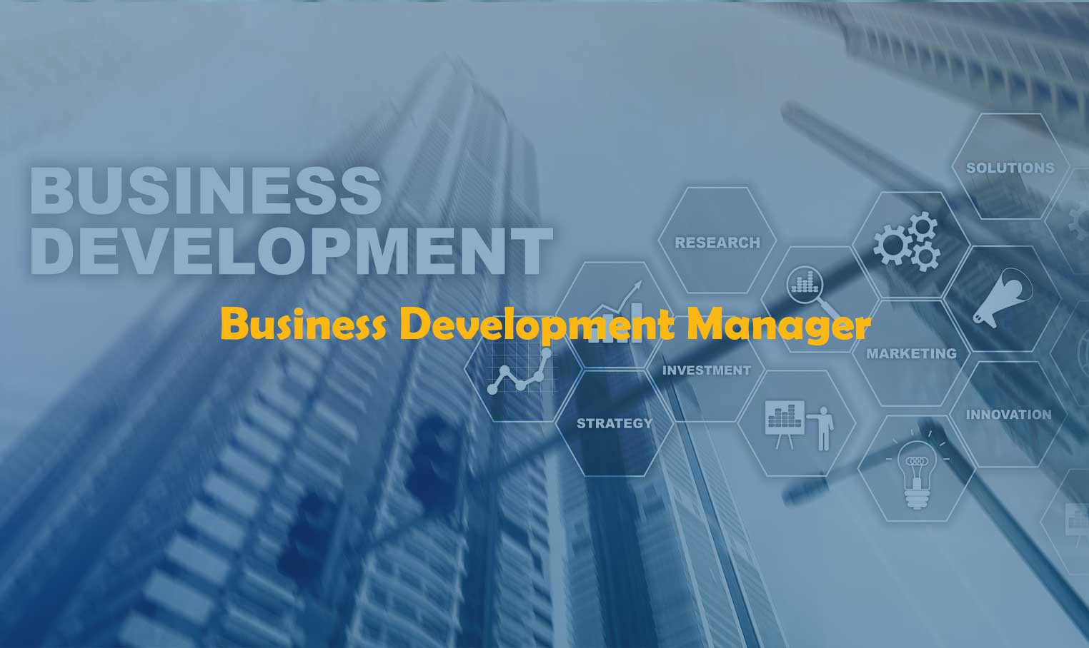 Business Development Manager