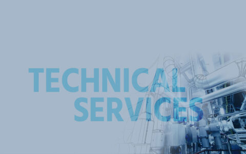 Technical Service Manager