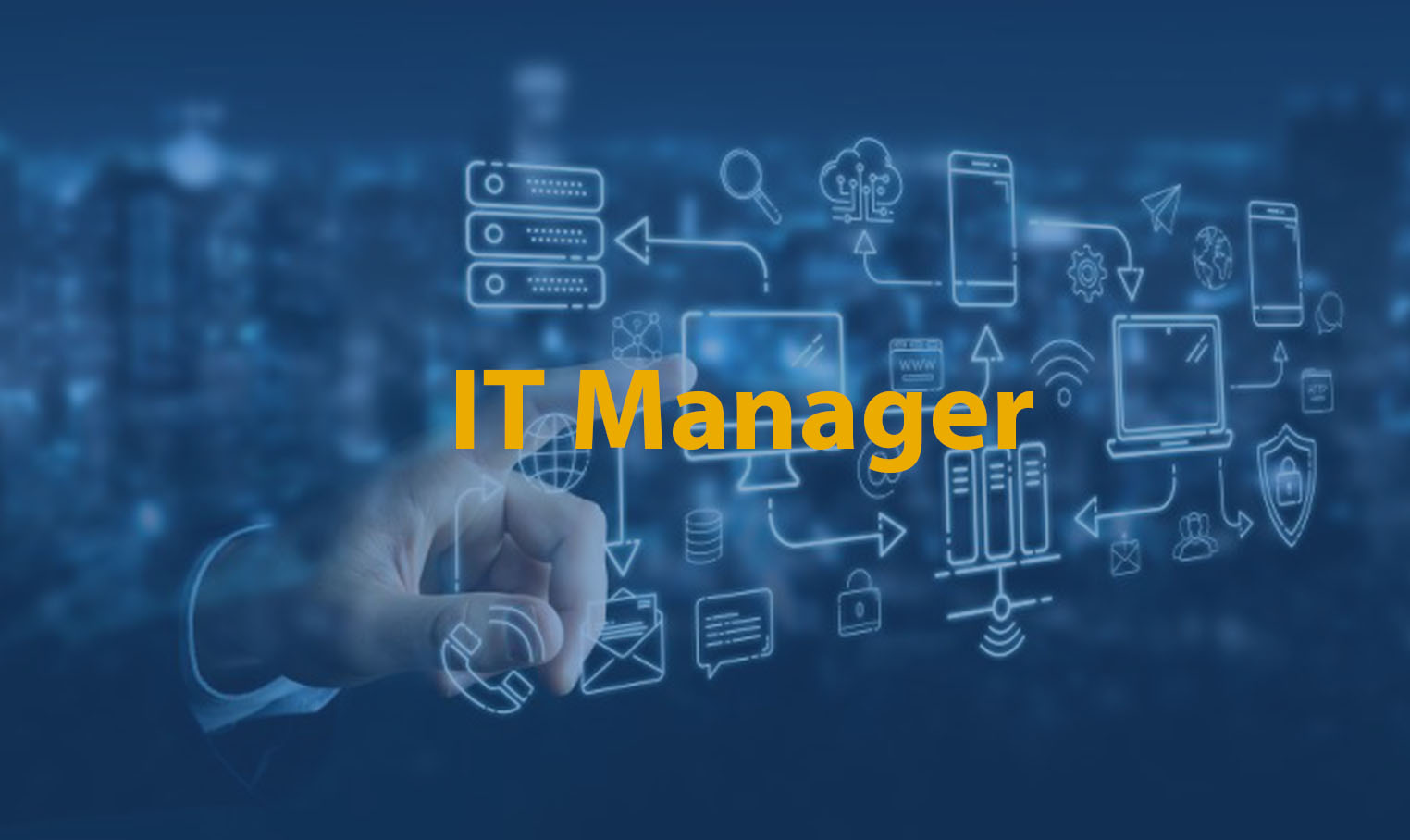 IT MANAGER