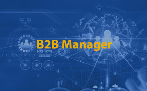 B2B Manager