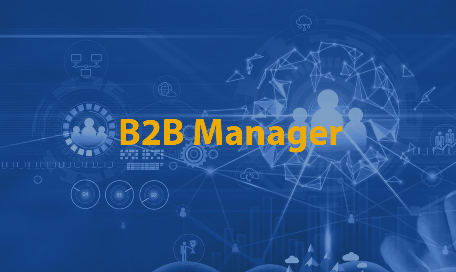 B2B Manager