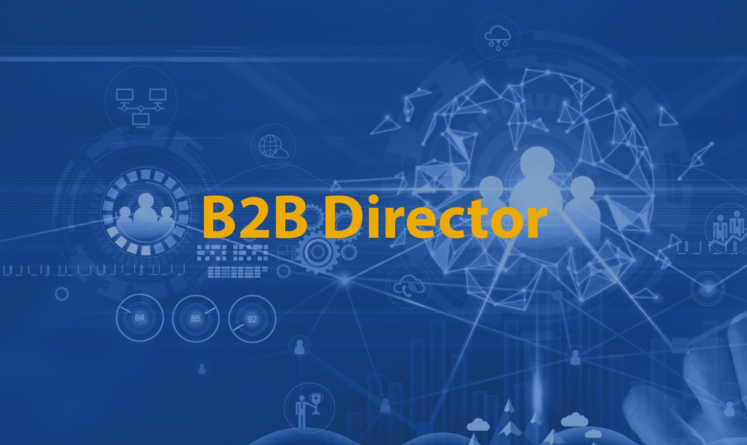 B2b Director