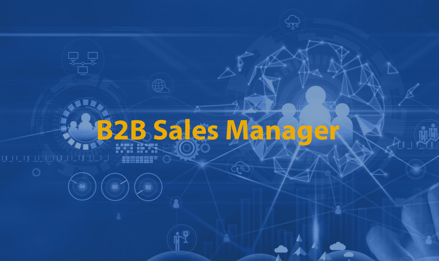 B2B sales Manager