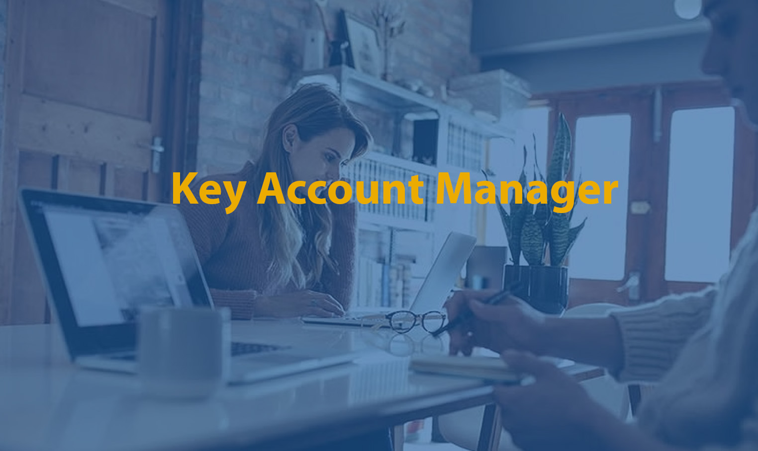 Key Account Manager