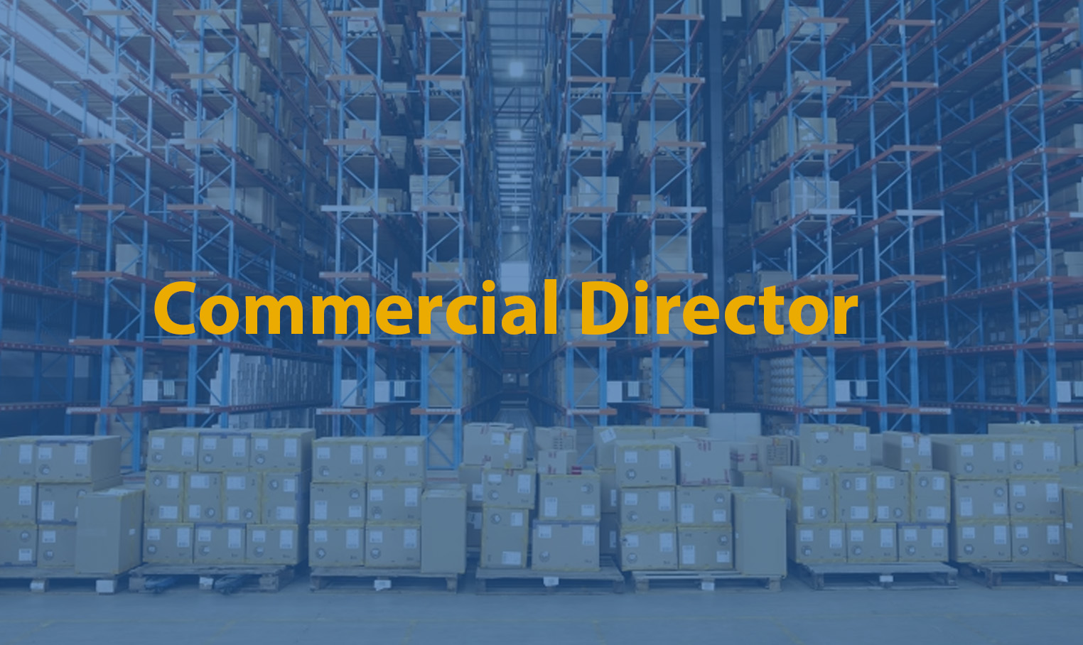 commercial director