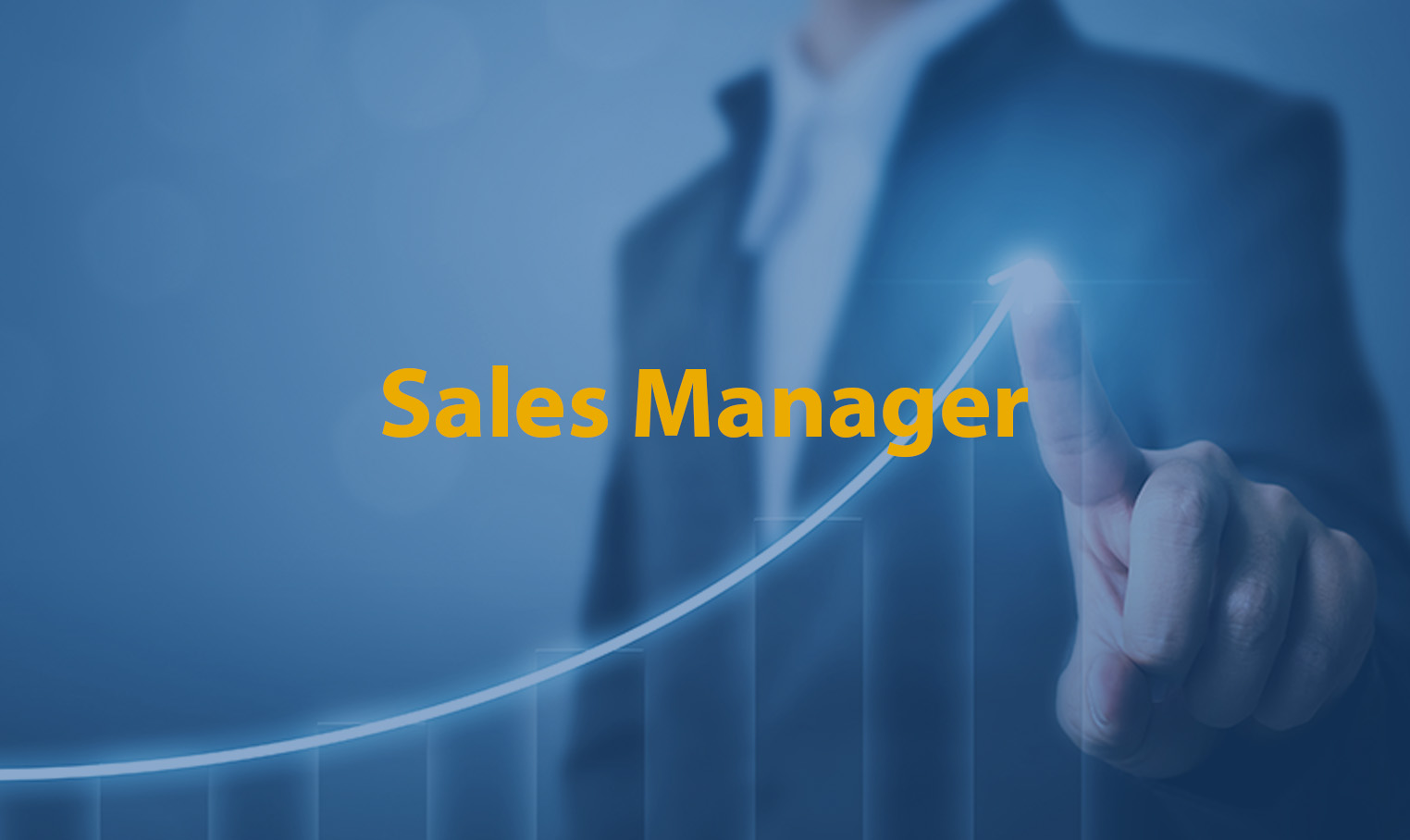 sales Manager