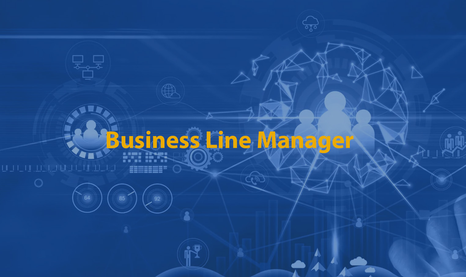 Business Line Manager