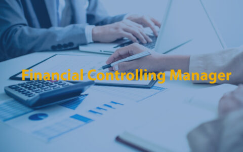 Financial Controlling Manager