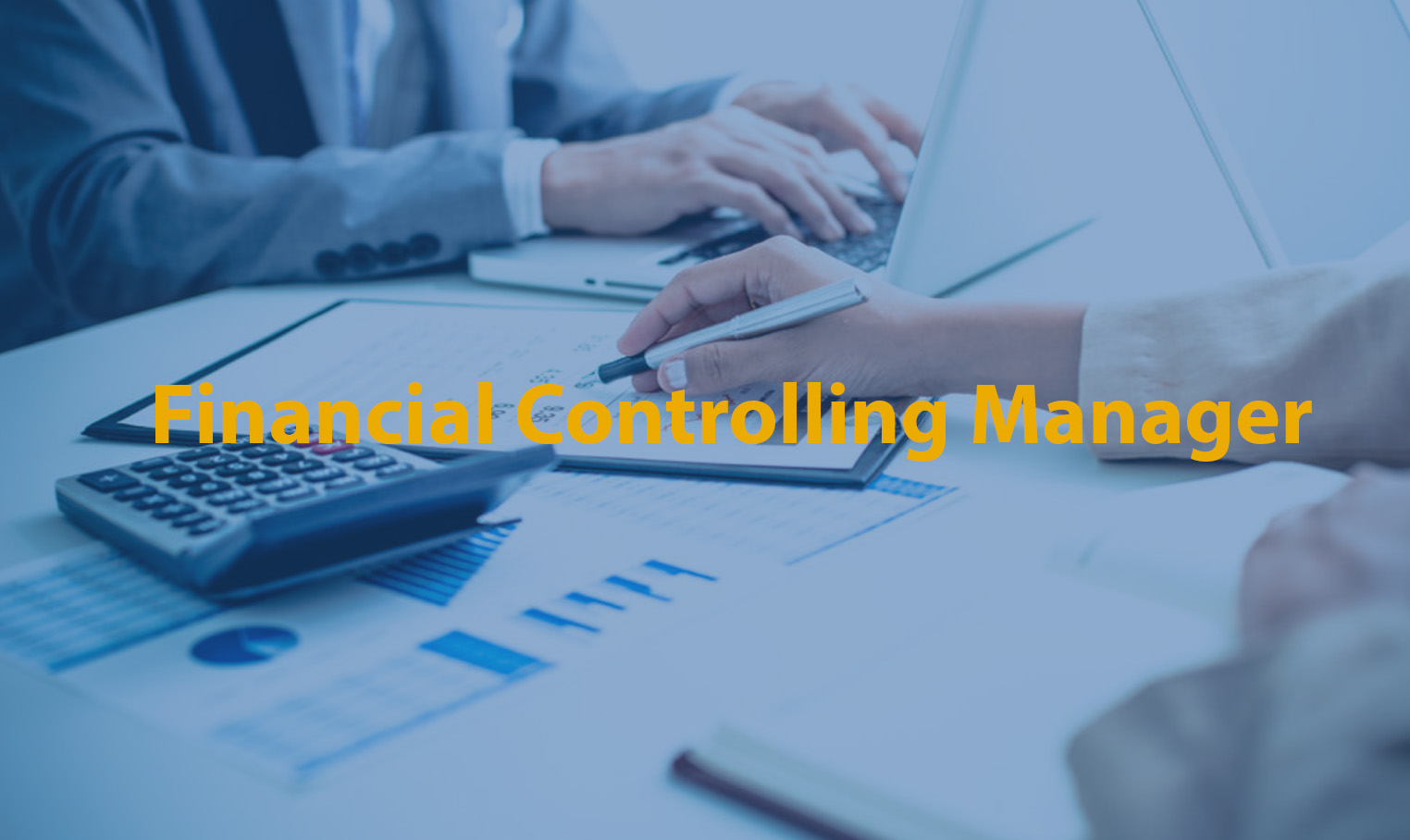 Financial Controlling Manager