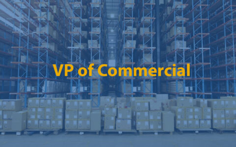 VP of Commercial