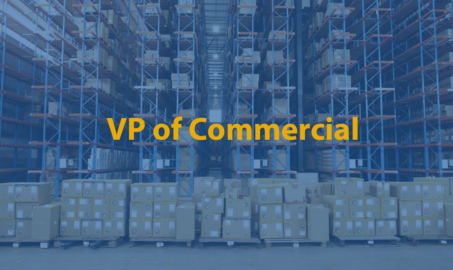 VP of Commercial