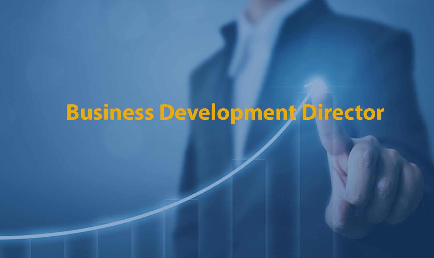 Business Development Director