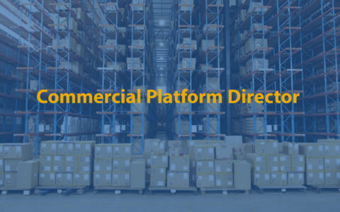 Commercial Platform Director