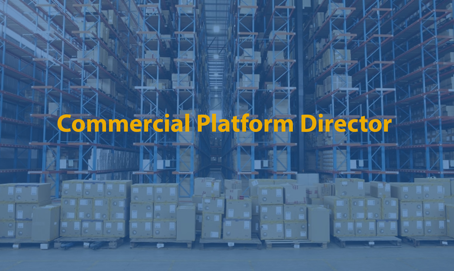 Commercial Platform Director