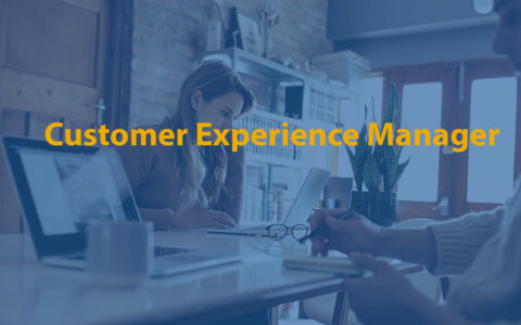 Customer Experience Manager