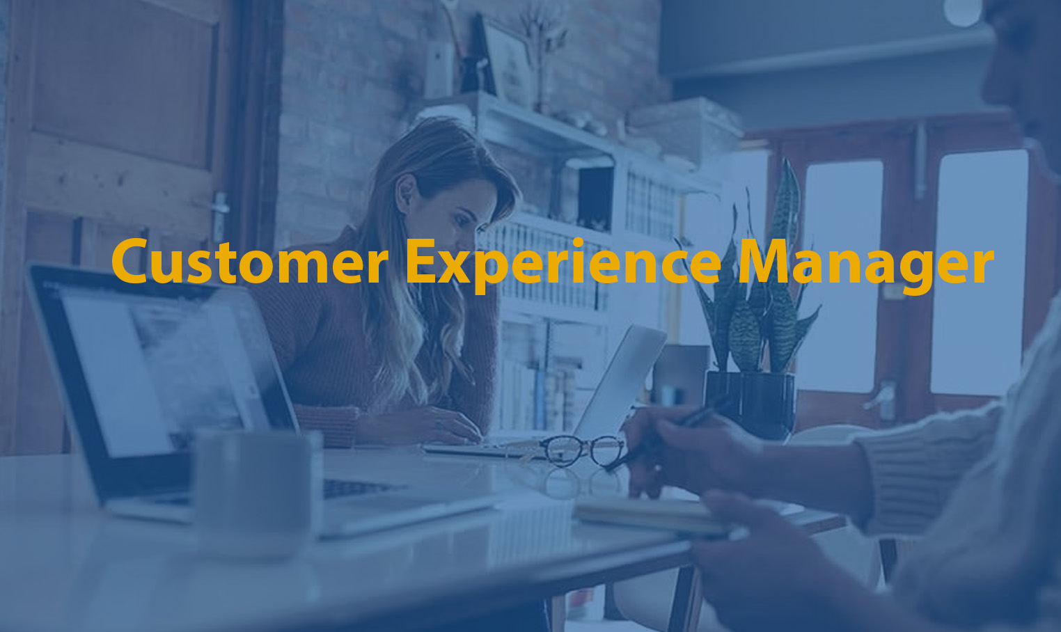 Customer Experience Manager