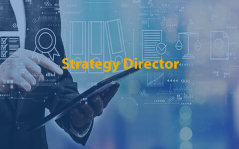 Strategy Director