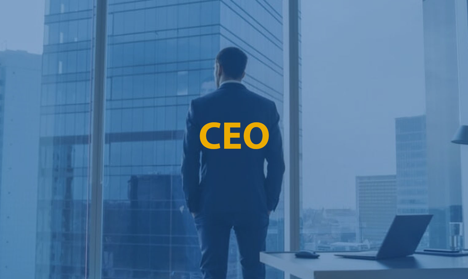 Chief executive Officer