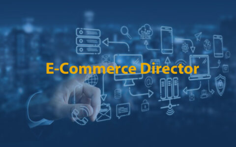 E-Commerce Director