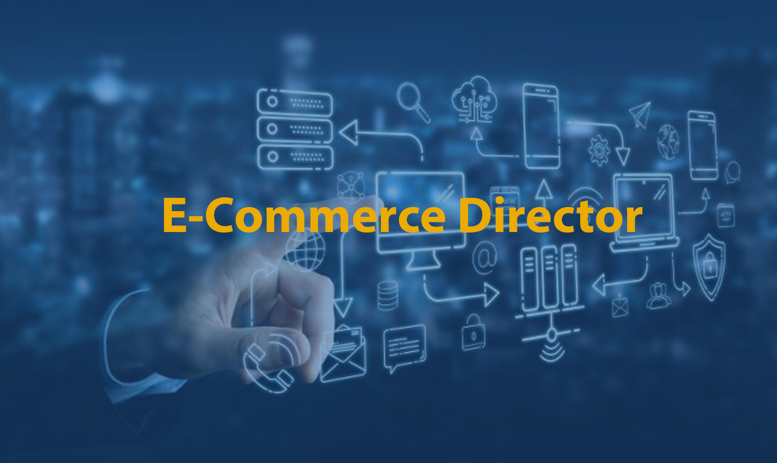 E-Commerce Director