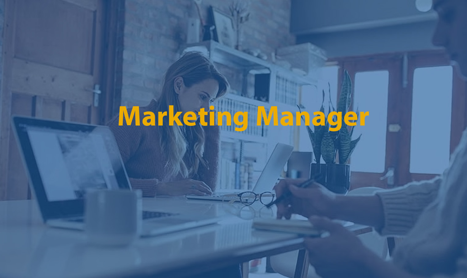 Marketing Manager