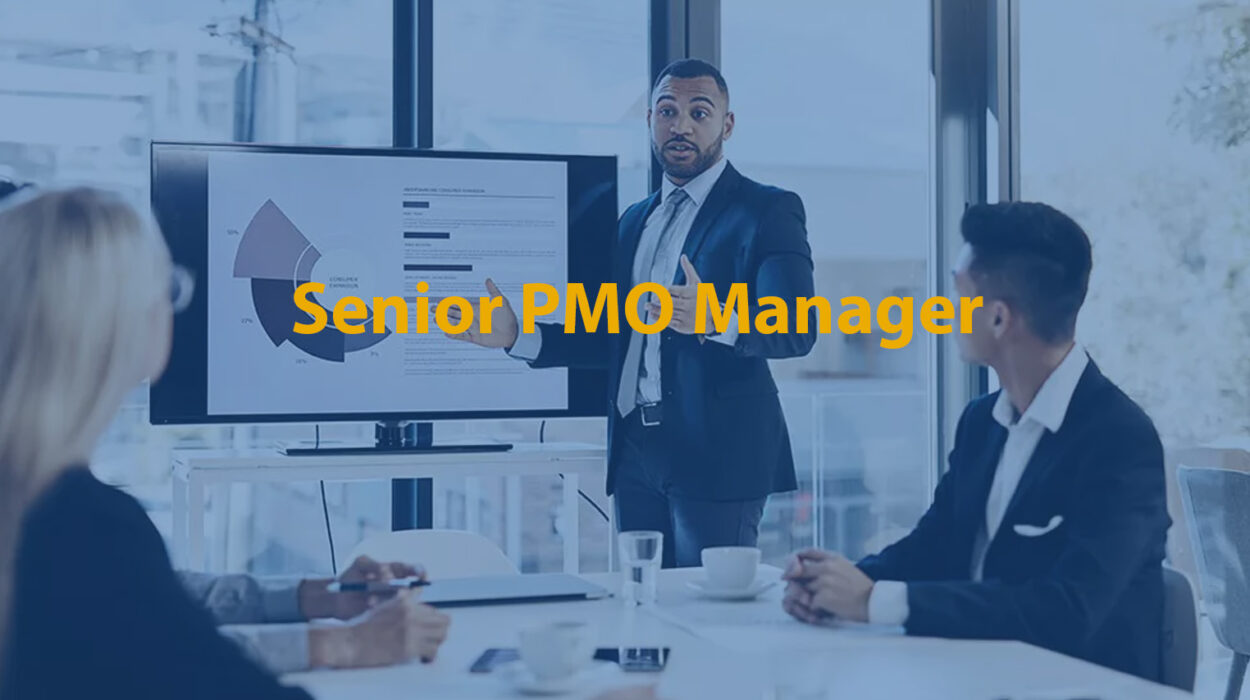 Senior PMO Manager