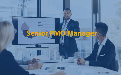 Senior PMO Manager