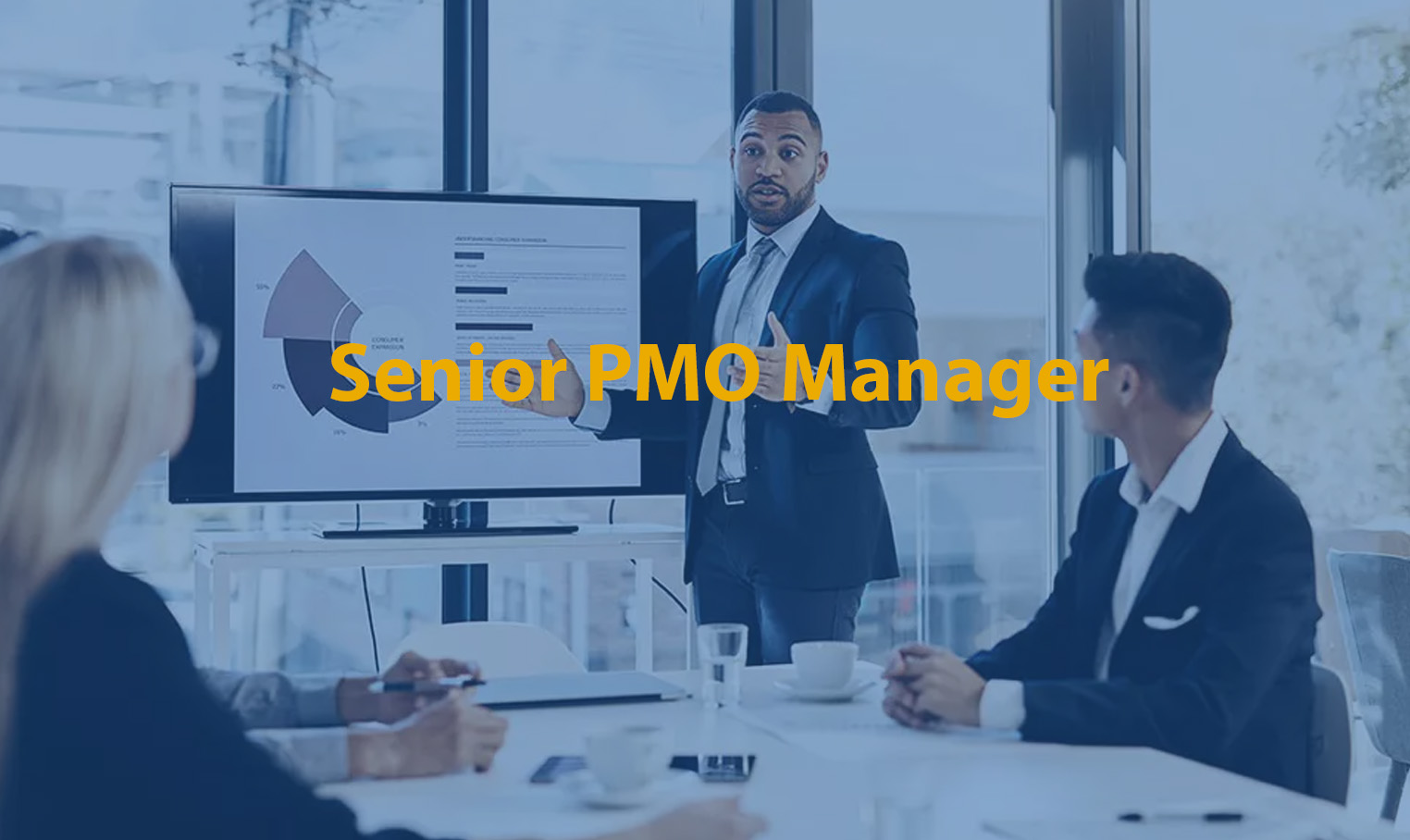 Senior PMO Manager