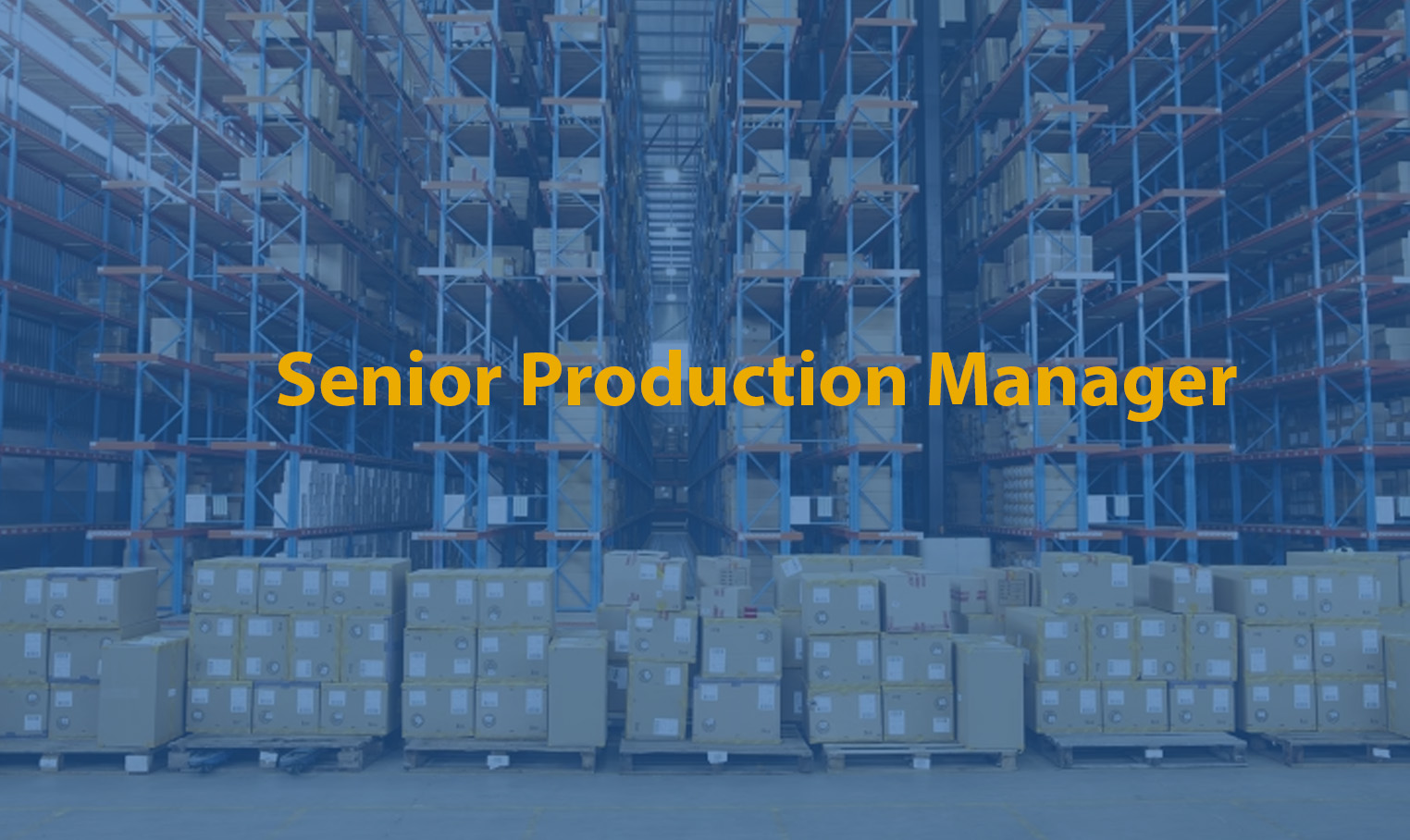 Senior Production Manager