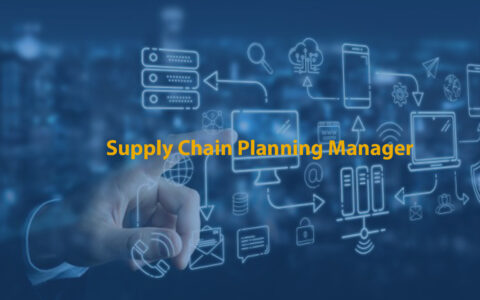 Supply Chain Planning Manager