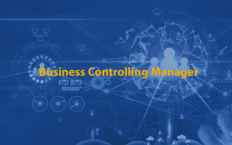 Business Controlling Manager