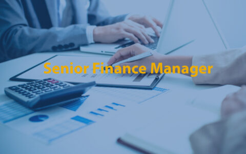 Senior Finance Manager