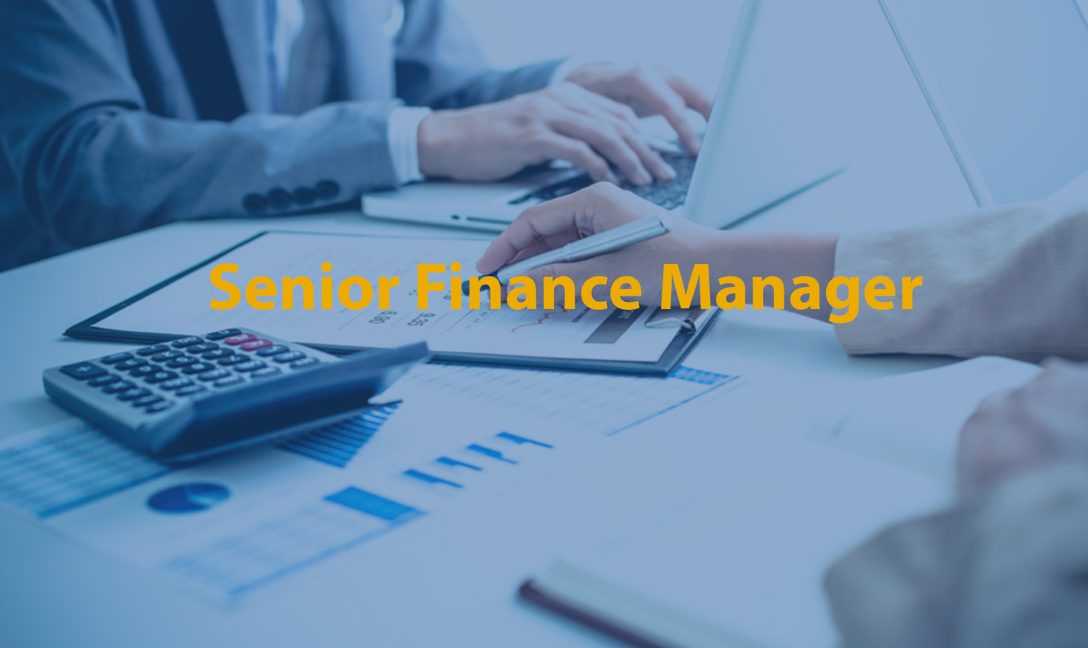 Senior Finance Manager