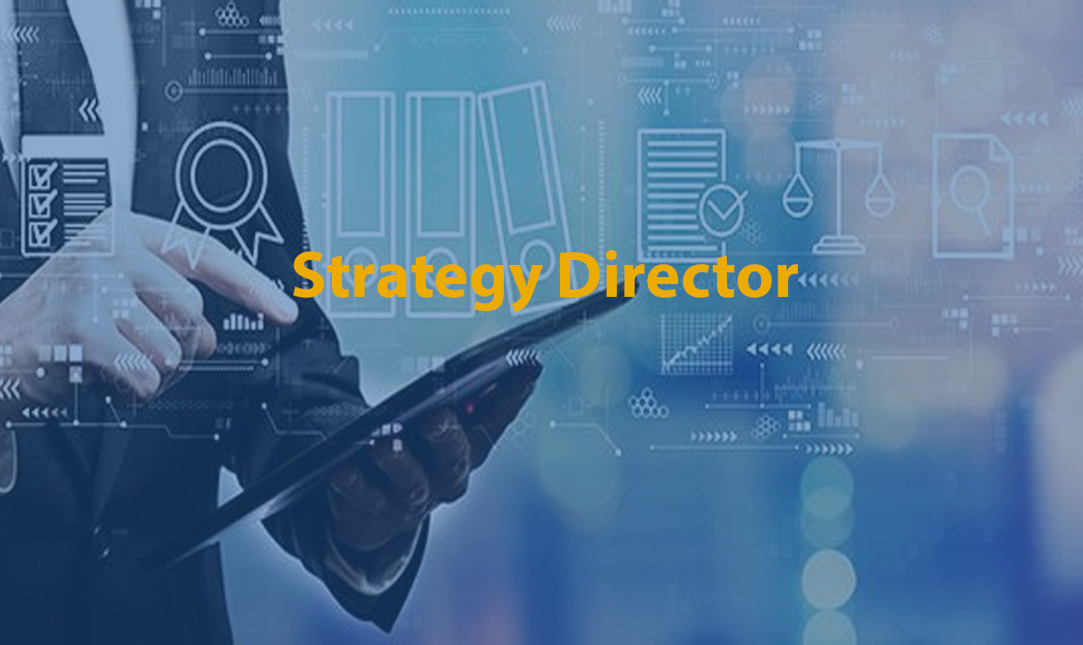 Strategy Director