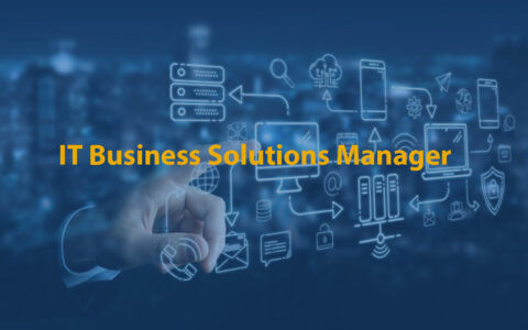 IT Business Solutions Manager