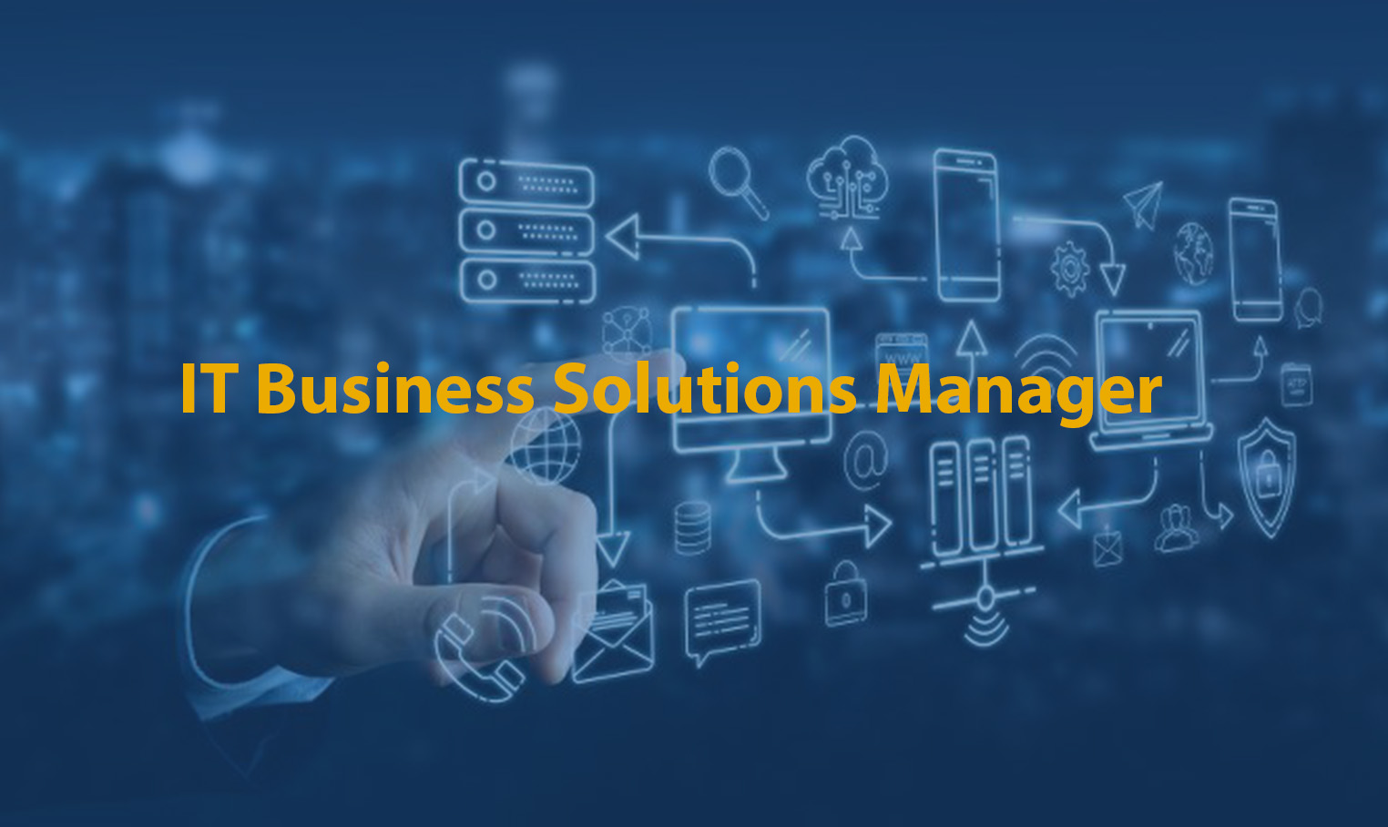 IT Business Solutions Manager