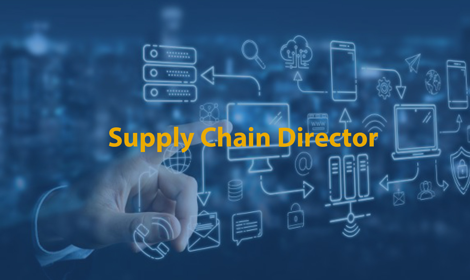 Supply Chain Director