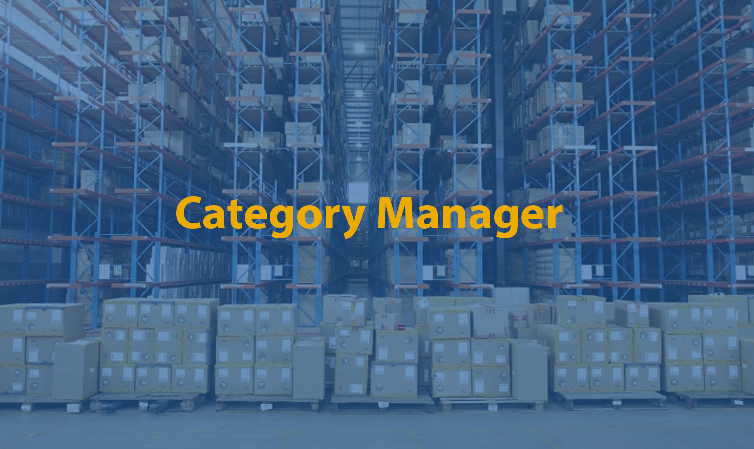 Category Manager