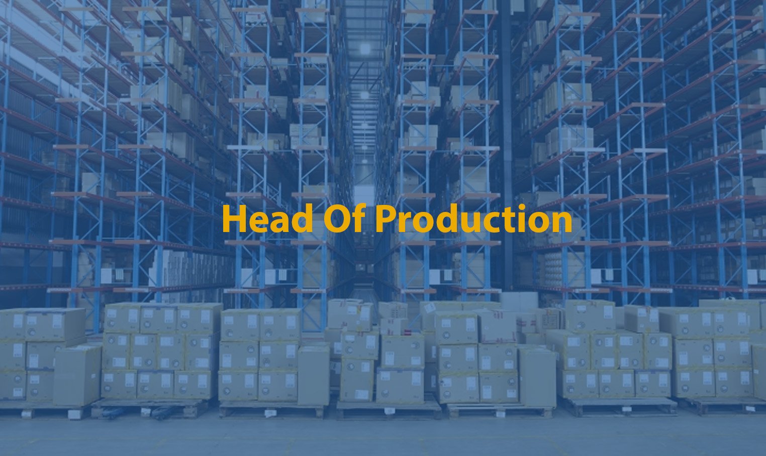 Head Of Production