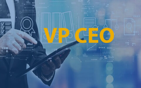 VP CEO