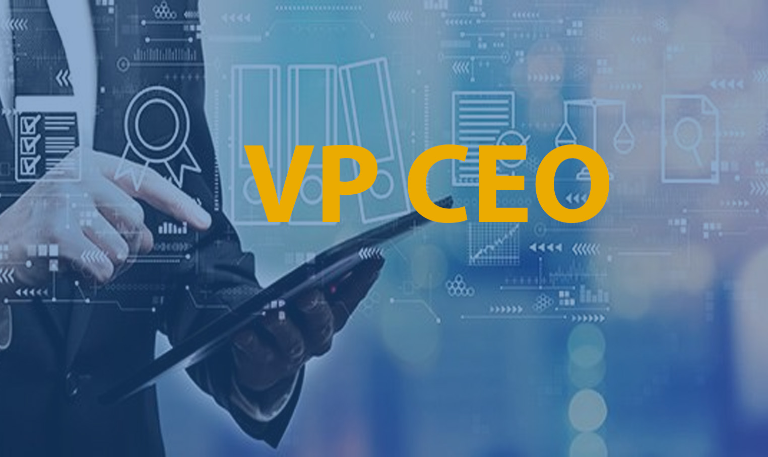 VP CEO