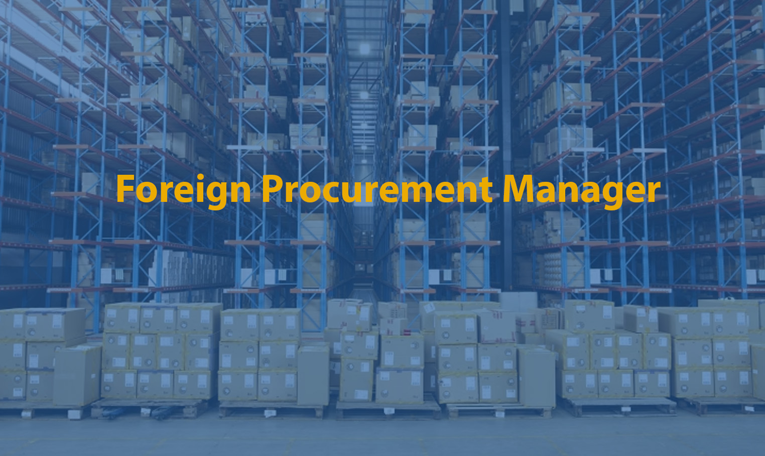 Foreign Procurement Manager