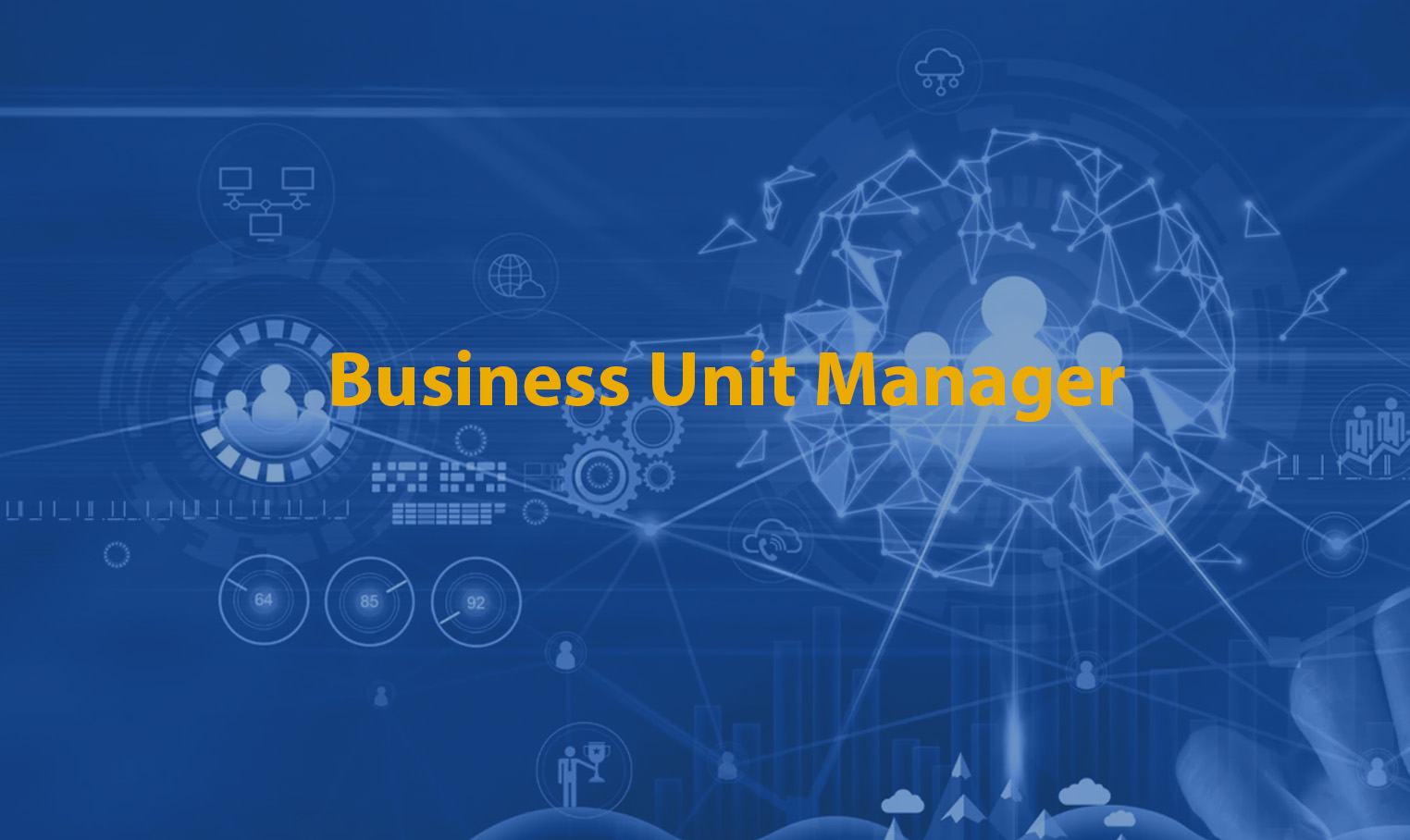 Business Unit Manager