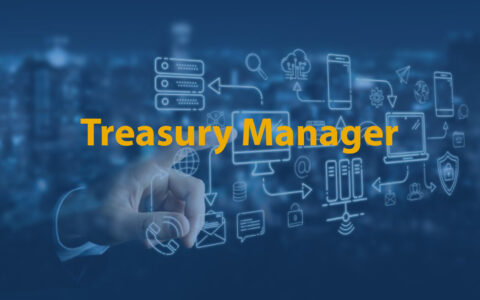 Treasury Manager