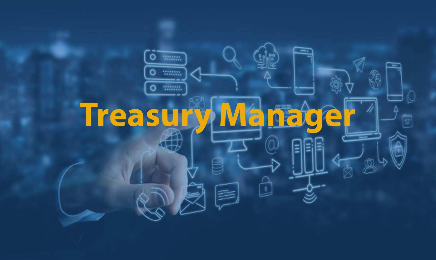 Treasury Manager