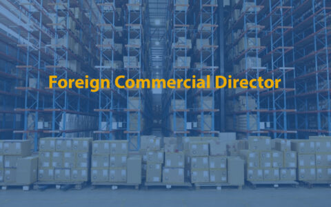 Foreign Commercial Director
